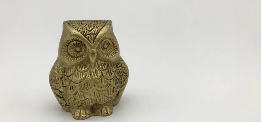 Chinese Symbolism of the Owl